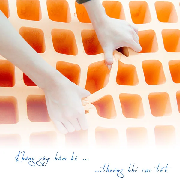Nệm Tốt Giá Sỉ - Nệm Cao Su Thiên Nhiên Á Châu Latex 0
