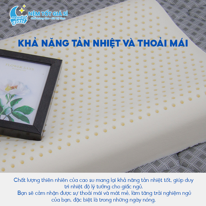 Nệm Tốt Giá Sỉ - Gối Cao Su Thiên Nhiên Gợn Sóng 1